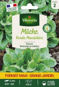 Mâche Ronde Maraîchère - Grand Modèle